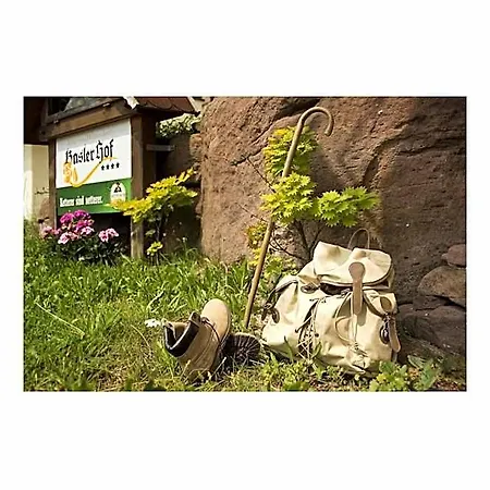 Oeko-landhotel Basler Hof 4*