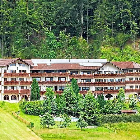 Oeko-landhotel Basler Hof 4* Schramberg