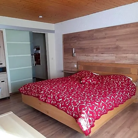 Szálloda Oeko-landhotel Basler Hof Schramberg